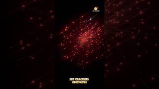 5 inch Reddish pink skyshot|New arrival skyshot|SRT Crackers|Multi brand crackers shop|#crackers