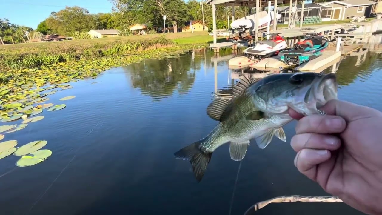First video bass fishing in fl