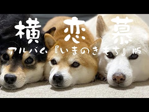 中島みゆき　横恋慕【アルバム『いまのきもち』版】　(covered by K)