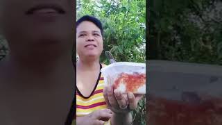 SARDINAS ULAM PINOY #forestadventure #adventure #kmjslatest #nature #food