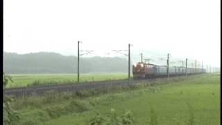 【ED75】ED75 707オリエント色HM付 「カートレイン北海道」 久田野