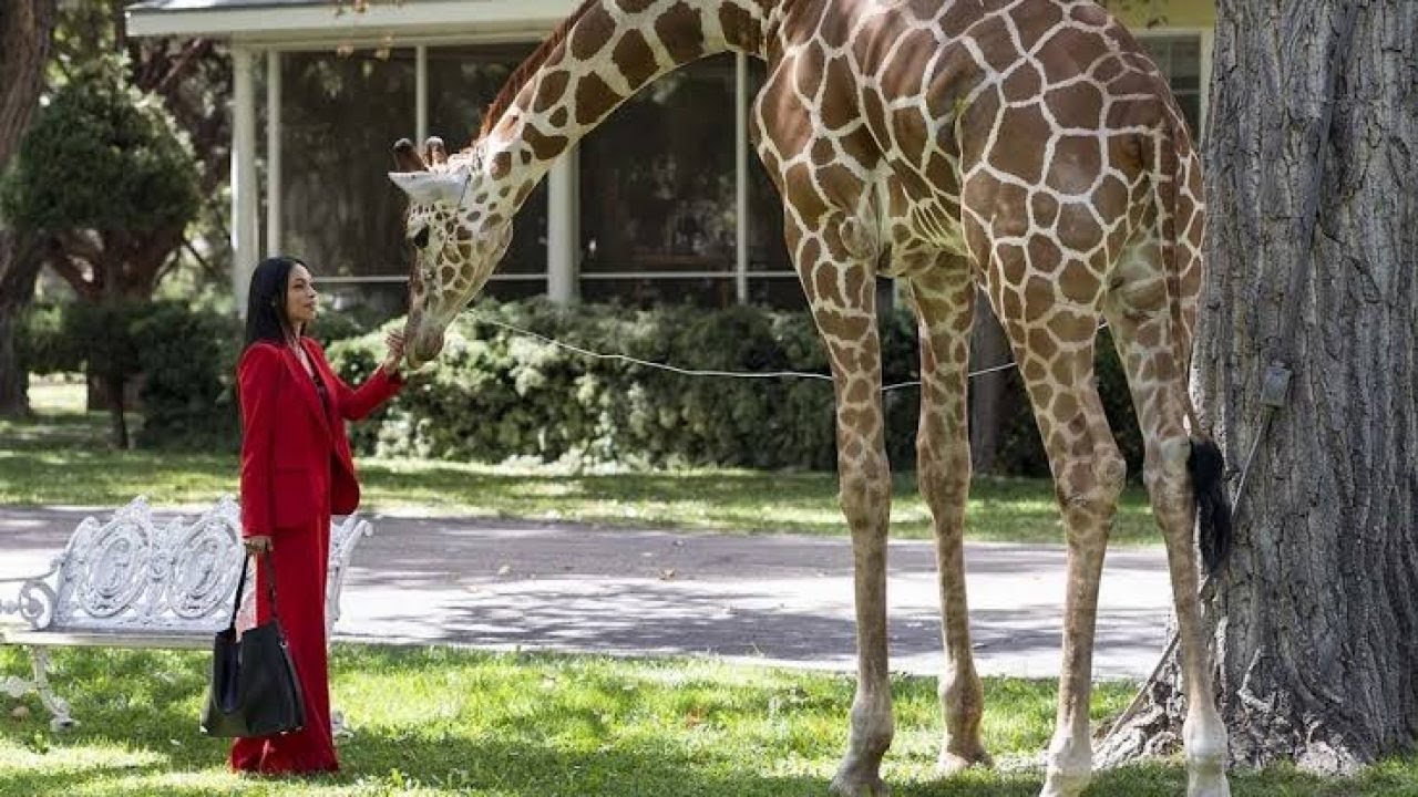 Briarpatch Season 1 Episode 5 | AfterBuzz TV