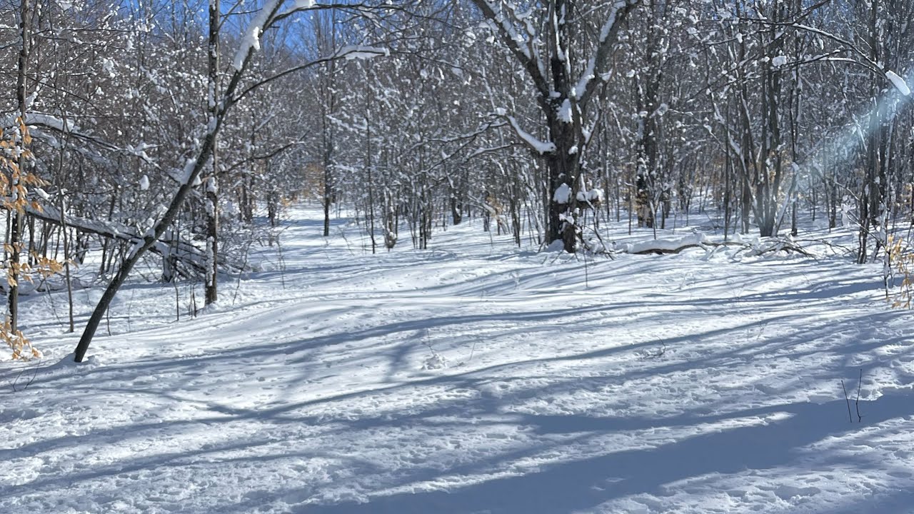 Michigan Snowboarding after a 12” storm, Deadman’s Hill possibly first descent