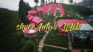 Best place for Couples in Nepal | Shree antu | East Nepal | Ilam @Twobomjan
