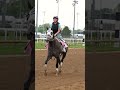 A little Lemon Muffin cameo. #kentuckyderby #kyderby #lemonmuffin #racing #horse