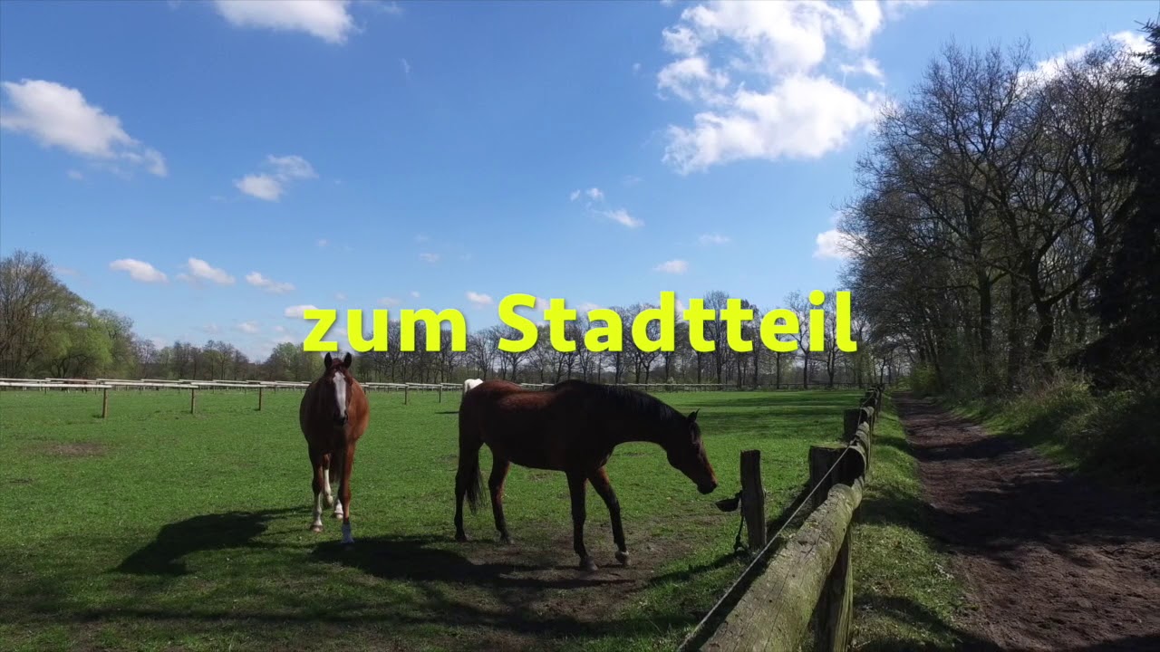 Rissen Stadtteilportrait Trailer