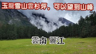 【雲嶺之南～雲南 麗江】EP05 玉龍雪山雲杉坪，麗江大型景點，高山環境非常美麗，可以望見玉龍雪山山峰