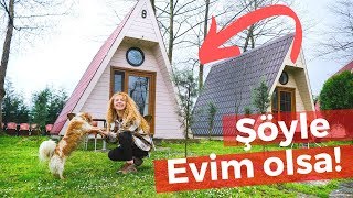 Hayalinizdeki Tiny House Burası Olabilir!! | Ufak Tefek KÜÇÜK EV Turu Yaptım