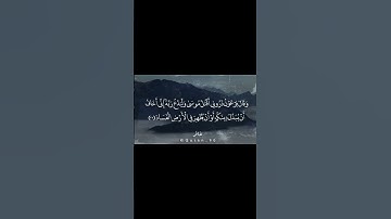 #قران_كريم #اكسبلور #تلاوة_مؤثرة #المصحف #لايك