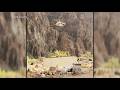 More than 12 people missing in Grand Canyon flooding