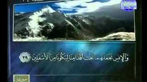 سورة فصلت 1 46 الشيخ ماهر شخاشيرو