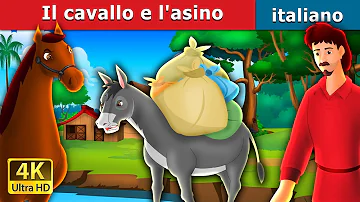 Come si chiama il figlio del cavallo?