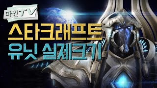 [마인 TV] 스타크래프트 유닛들의 실제 크기는? (Starcraft Unit Size Comparison)