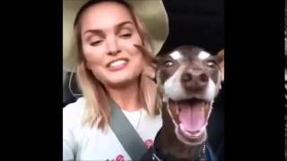 Best Facebook Video Compilation