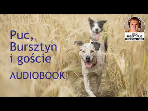 Jan Grabowski – Puc, Bursztyn i goście | Czyta Robert Fraś | AUDIOBOOK PL