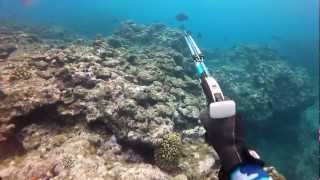 GoPro HD Hero2 spearfishing Japan