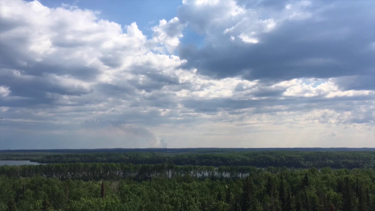 Introducing The Smoke Diaries