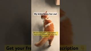 A free guide to be holistic pet routine in description |VIpets #kittypets