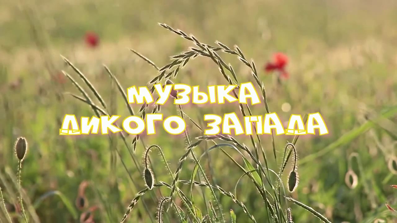 Включить песню дикая. Дикая музыка. Meadow песня.