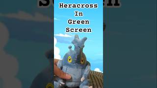 Heracross In Green Screen #greenscreen #heracross