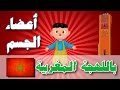 Human Body Parts In Moroccan Dialect Atfal TV أعضاء الجسم باللهجة المغربية أطفال تيفي 