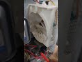 forno micro-ondas Electrolux. não está esquentando. troca do capacitor de alta