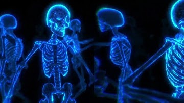 Halloween Window split Projection 2024