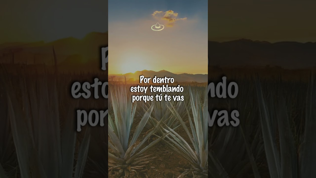 Eden Muñoz - Te Juro Que Te Amo (Letra/Lyrics) #shorts