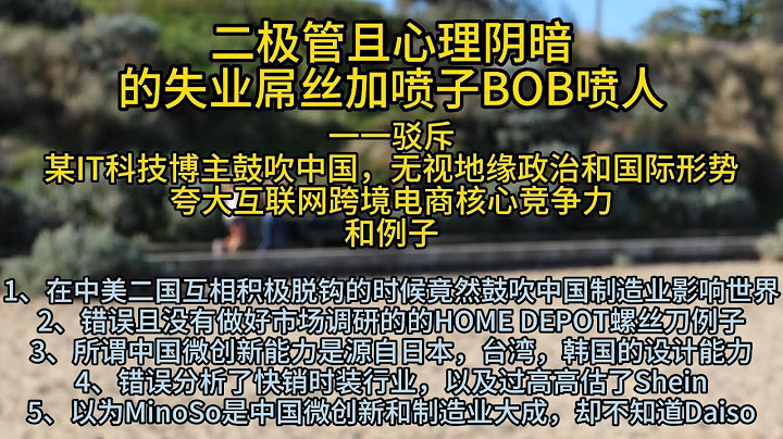 驳斥某IT科技博主鼓吹中国互联网跨境电商，无视地缘政治和国际形势夸大互联网跨境电商核心竞争力 - 天天要闻