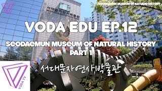 서대문자연사박물관 영상