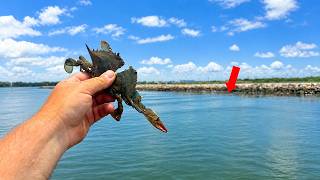 I Tossed BLUE CRABS at This Rock Jetty and INSTANTLY Hooked These MASSIVE Fish!!