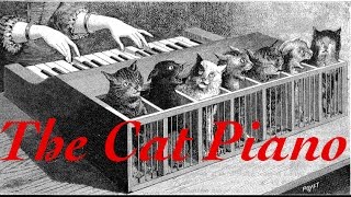 All About: The Cat Piano