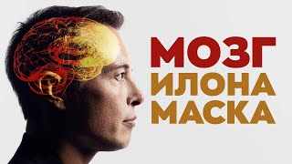 Как работает мозг Илона Маска