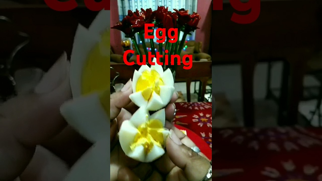 Egg Cutting 