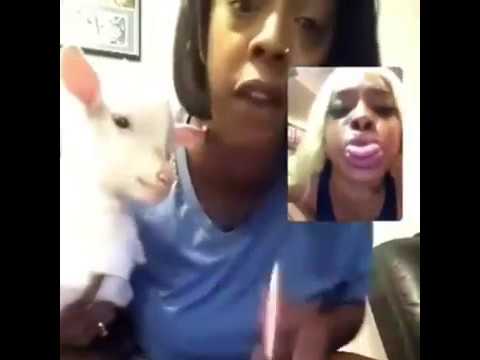 deafbae-argues-with-billy-gotti-the-goat-on-live-extremely-funny