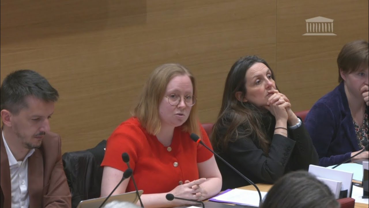 Le RN n'a rien compris au sujet et le bloc central ne sait pas lire 🧐