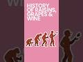 History of Raisins, Grapes & Wine #shorts