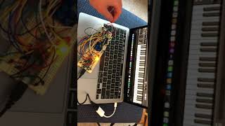 Digital Lab Week 5 PART 2 (W/ Pitch)