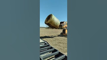 Thumbnail of If heaven ain't a lot like Dixie