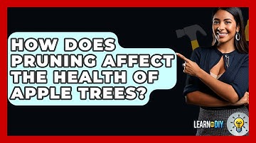 How Does Pruning Affect The Health Of Apple Trees? - LearnToDIY360.com