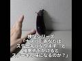 検証シリーズ「ナスに『あなたはステーキになります』と催眠術をかけるとステーキの味になるのか？」