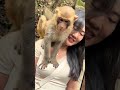 monkey #funny #shortsfeed #shorts