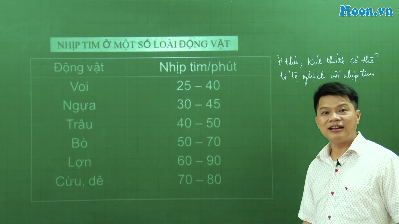 Bài 16-SH11: hệ tuần hoàn (P2)