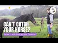Can't Catch Your Horse? Solve it with Connection Training!