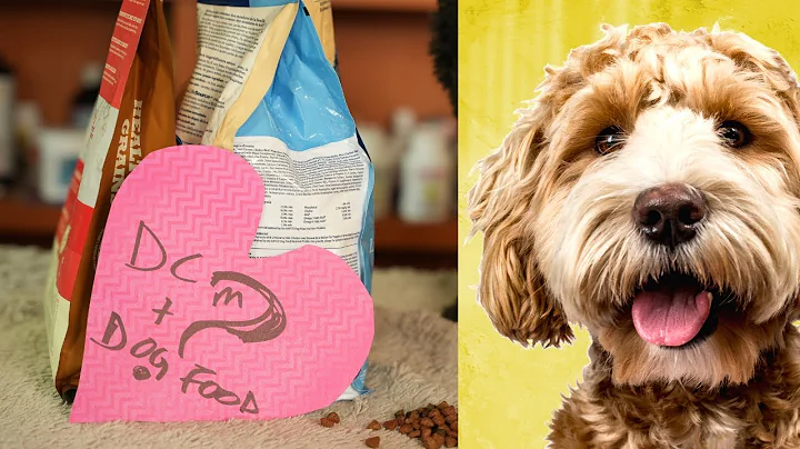 Dog Food and DCM: New Study says NO LINK