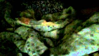 Video015 avi
