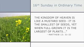16th Sunday in Ordinary Time  9:00 mass