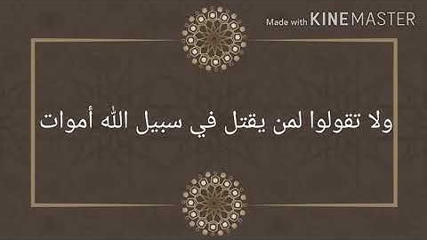 ❤ سورة البقرة من الآية 154 إلى الآية 163 ❤