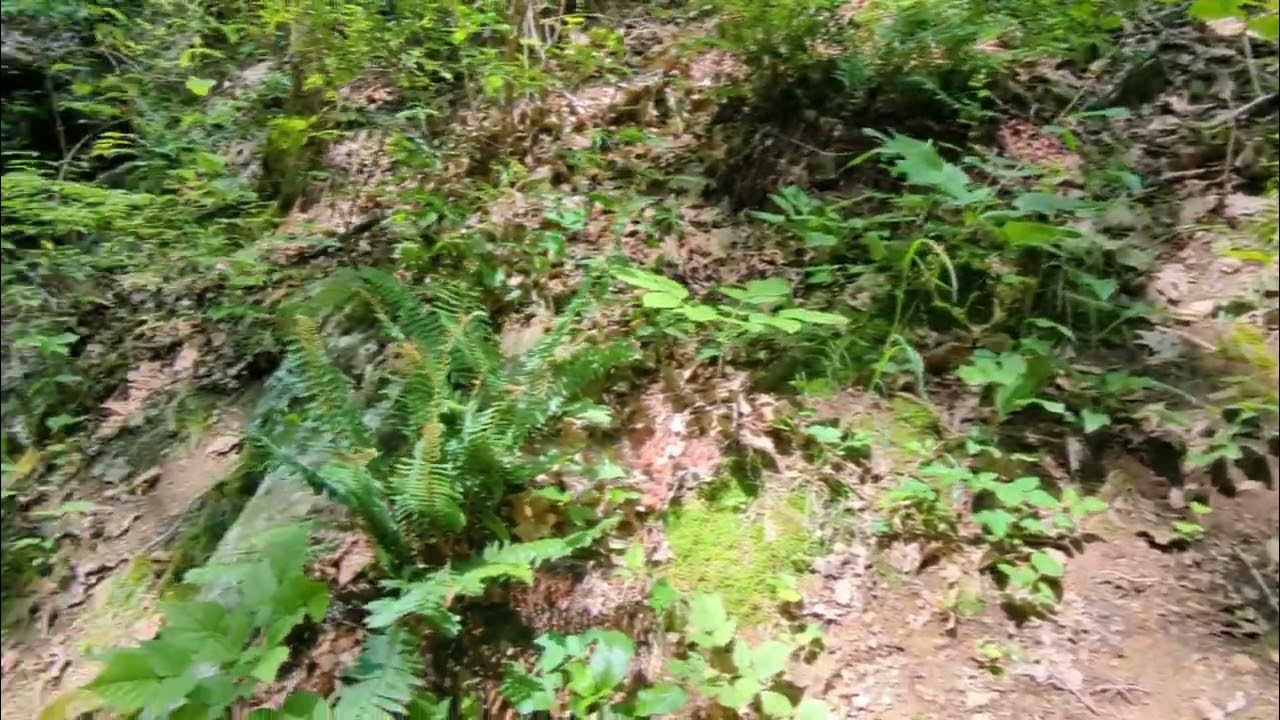 The Waterfall on the Alum Hollow Trail at Green Mountain Nature