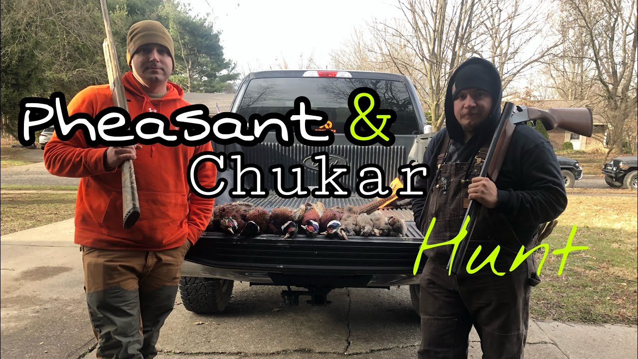 Upland Bird Hunt (Little Wabash Shooting Preserve) Neoga, IL